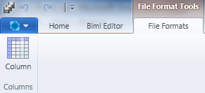 File Format Ribbon