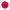 Red Dot